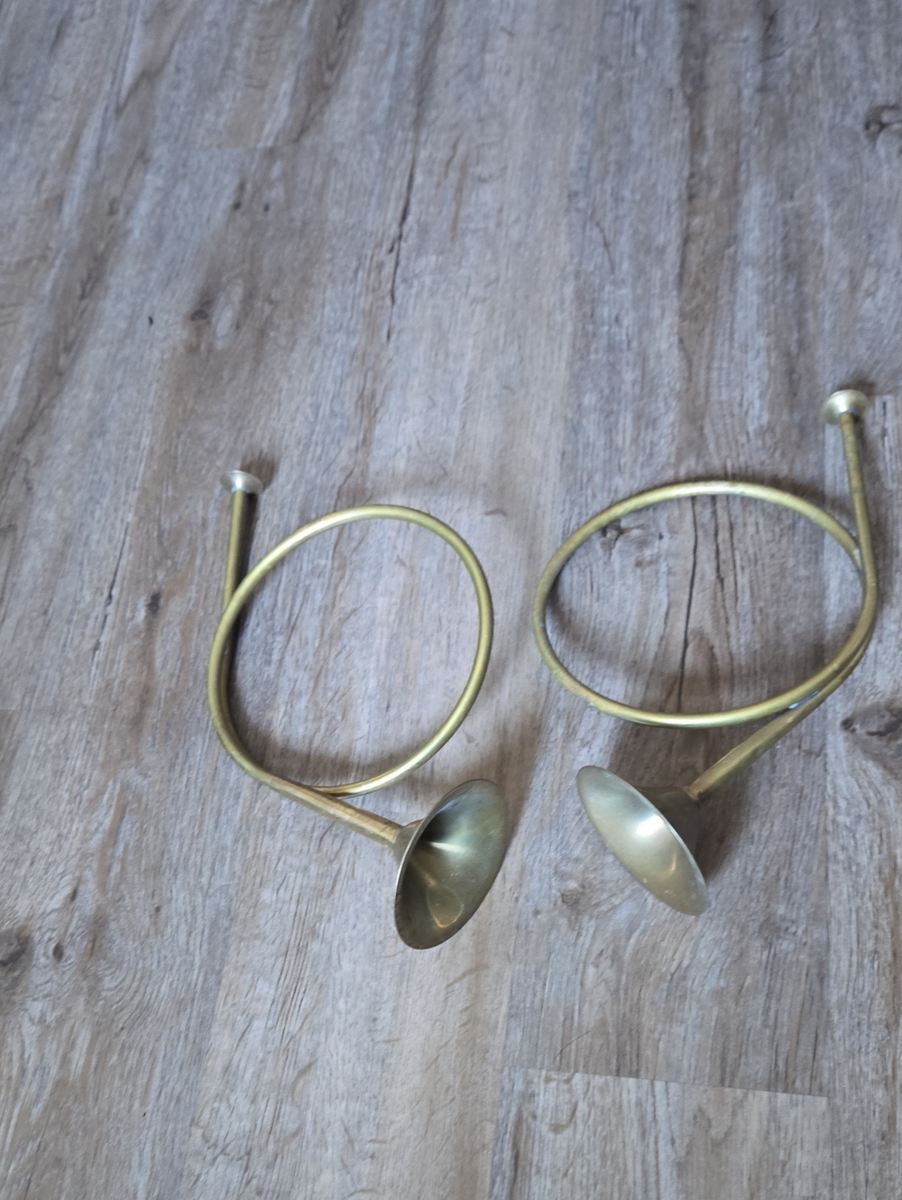 Vintage Decorative Brass Horns - Set of 2